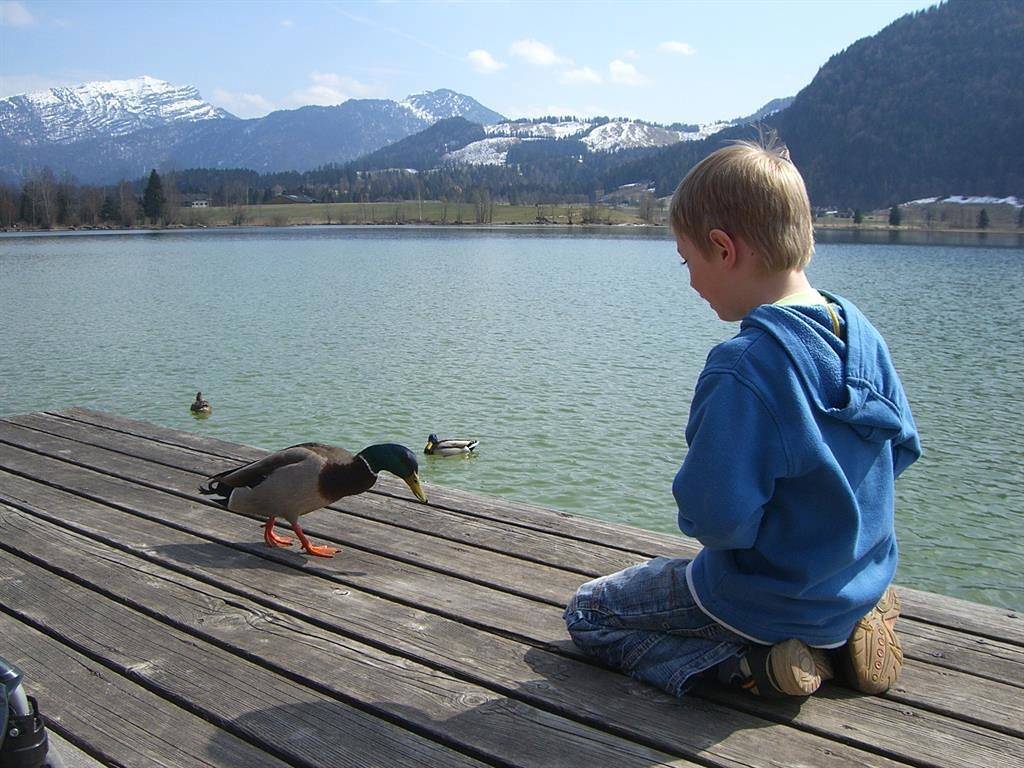 Ganze Ferienwohnung, Haus Edelweiss - Fam. Schlechter in Walchsee, Kaiserwinkl