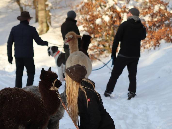 Ferienhaus für 14 Personen, mit Garten, kinderfreundlich im Waldecker Land - 4