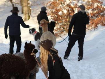 Ferienhaus für 14 Personen, mit Garten, kinderfreundlich am Edersee