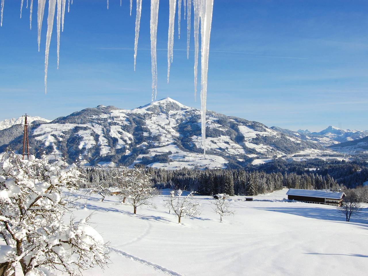 Ganze Wohnung, Entalhof in Hopfgarten im Brixental, Brixental