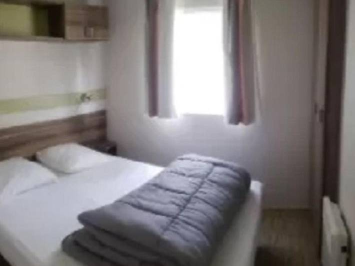 Location de vacances pour 6 personnes, avec terrasse et piscine, animaux acceptés à Vielmur-sur-Agout - 3