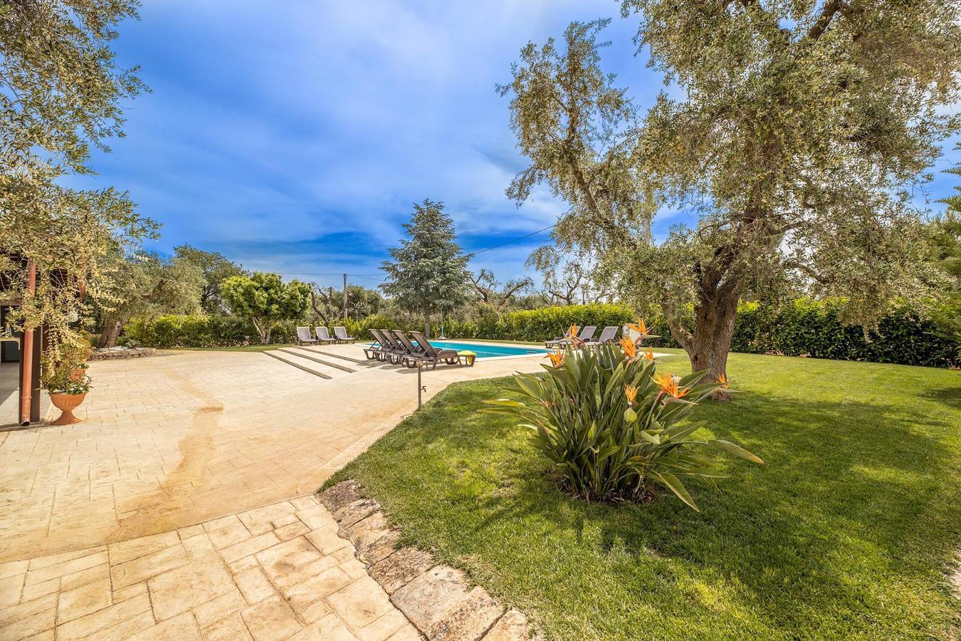 Trullo degli Augelli - Mono Fico by Barbarhouse in San Michele Salentino, Salento