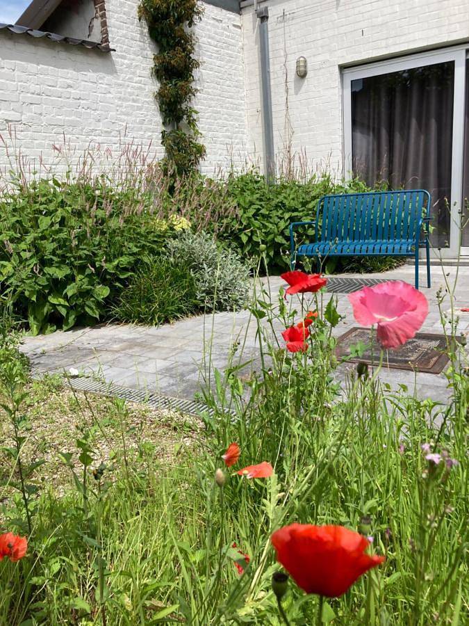 Location de vacances pour 6 personnes, avec vue et jardin dans Westvleteren (bière) - 4