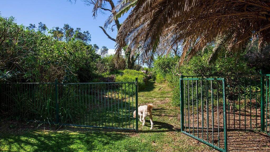 Surfspray - Pet Friendly - Absolute Beachfront in Culburra, Culburra Beach