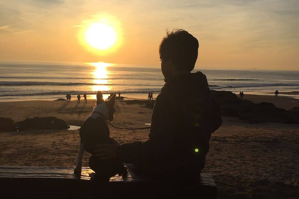 Ganze Wohnung, Zwischen dem Meer und Lissabon in Oeiras, Costa de Lisboa