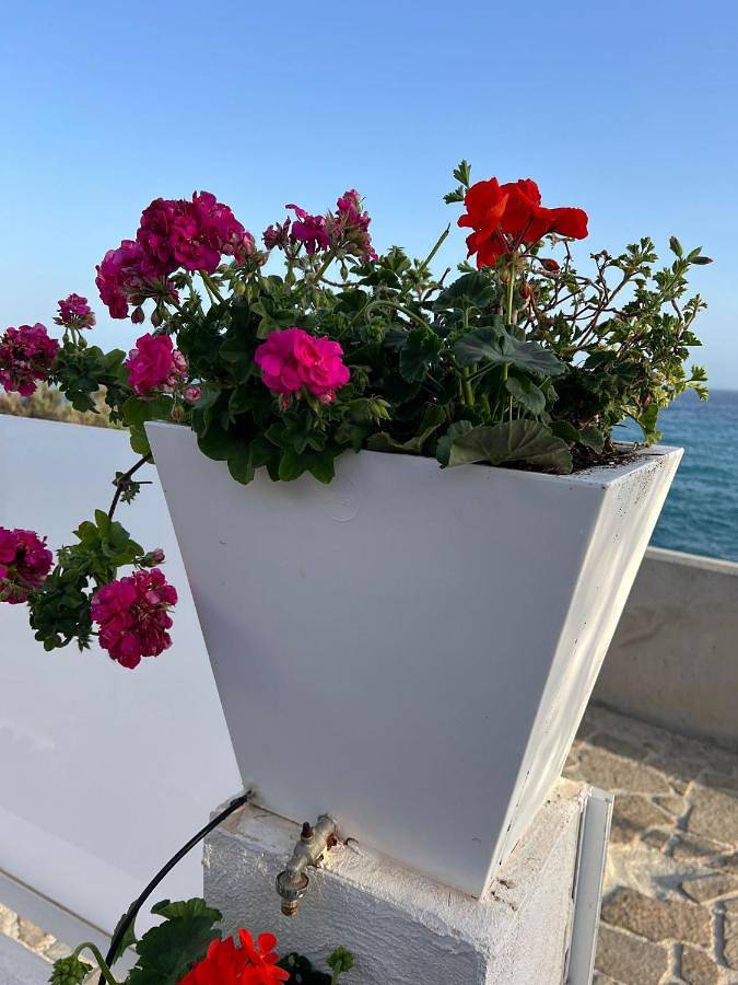 Apartamento para 4 personas, con jardín además de balcón y vistas en Motril