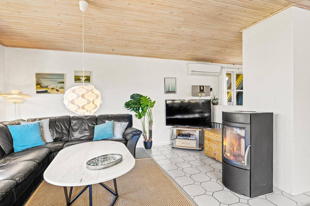 Schönes Reetdach Haus in ruhiger Lage mit Hund – Whirlpool & Sauna in Blavand, Varde