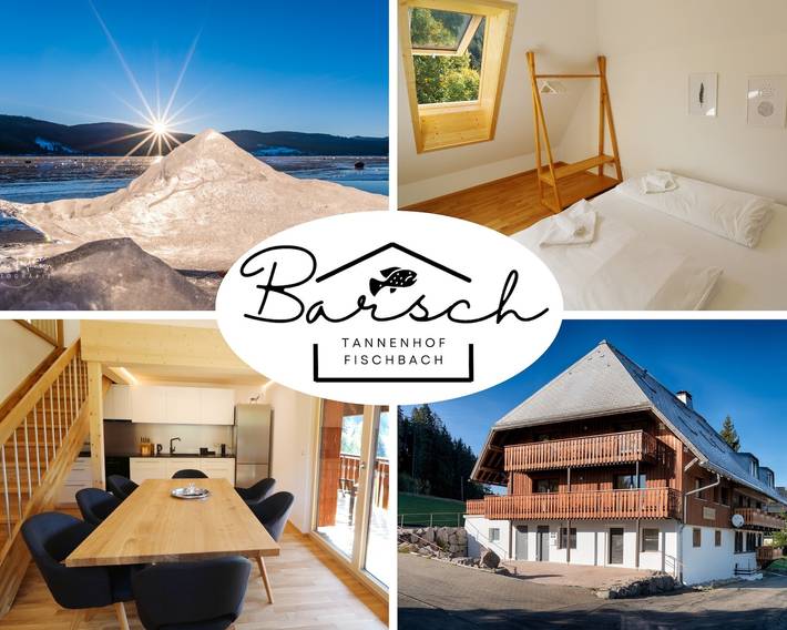Ferienwohnung für 8 Personen, mit Garten und Balkon, kinderfreundlich in Schluchsee