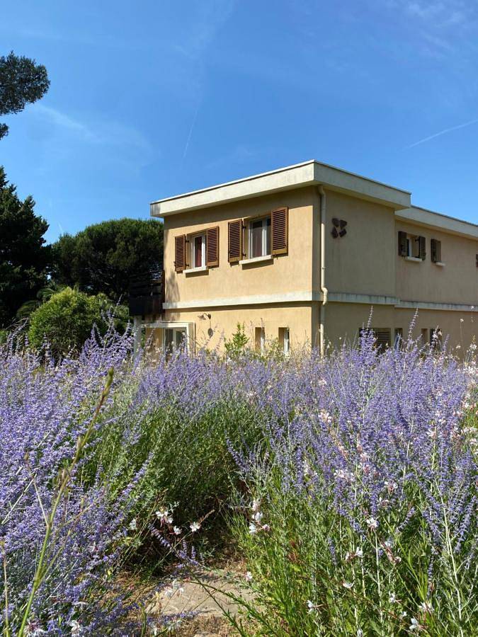 Location de vacances pour 12 personnes, avec vue et jardin dans Plage du Débarquement (La Croix-Valmer) - 4