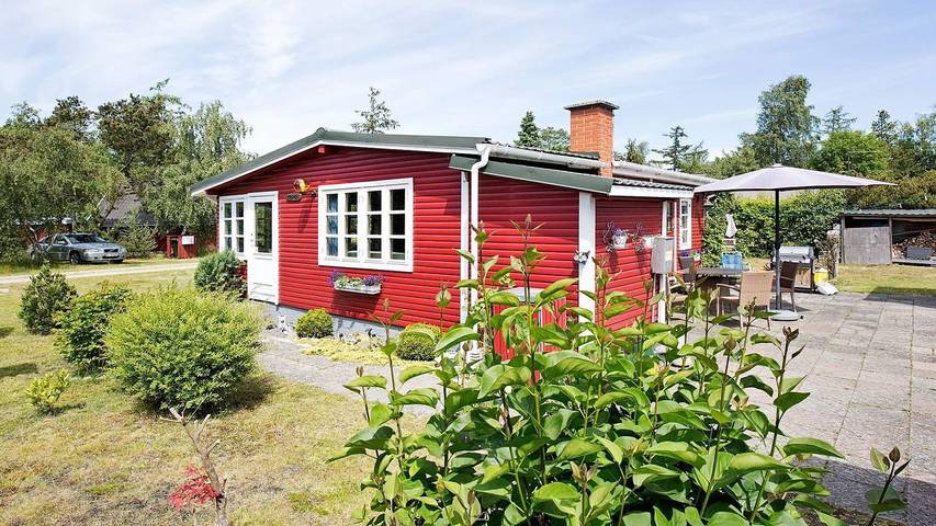 Ferieudlejning for 9 personer, med terrasse i Ellinge Lyng