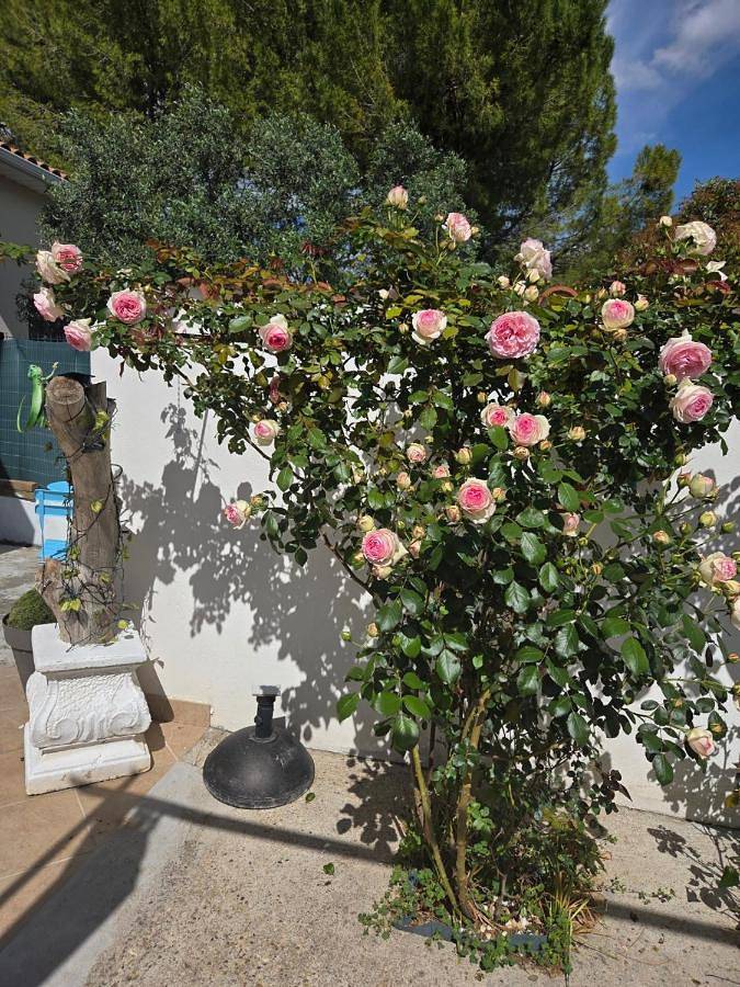 Gîte pour 2 personnes, avec terrasse à Prades-le-Lez - 2