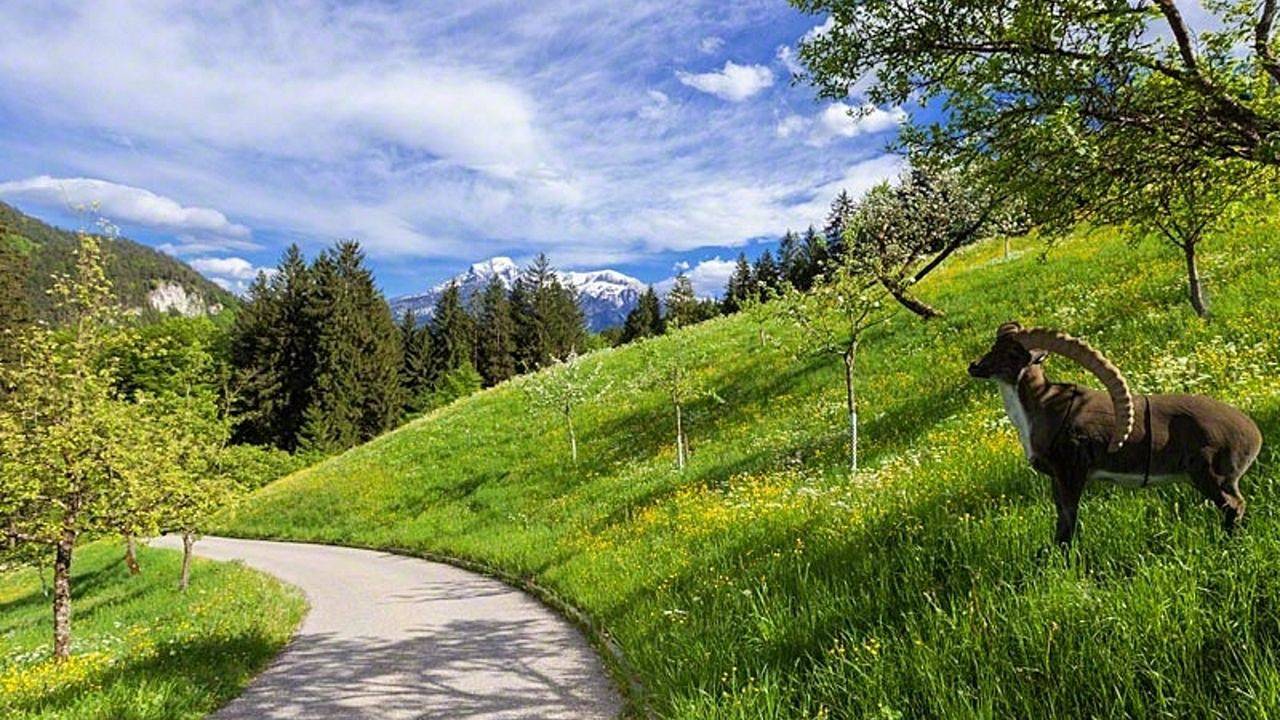 Entire holiday apartment, Ferienwohnung für 2 Personen (50 m²) in Bischofswiesen in Bischofswiesen, Berchtesgarden Alps
