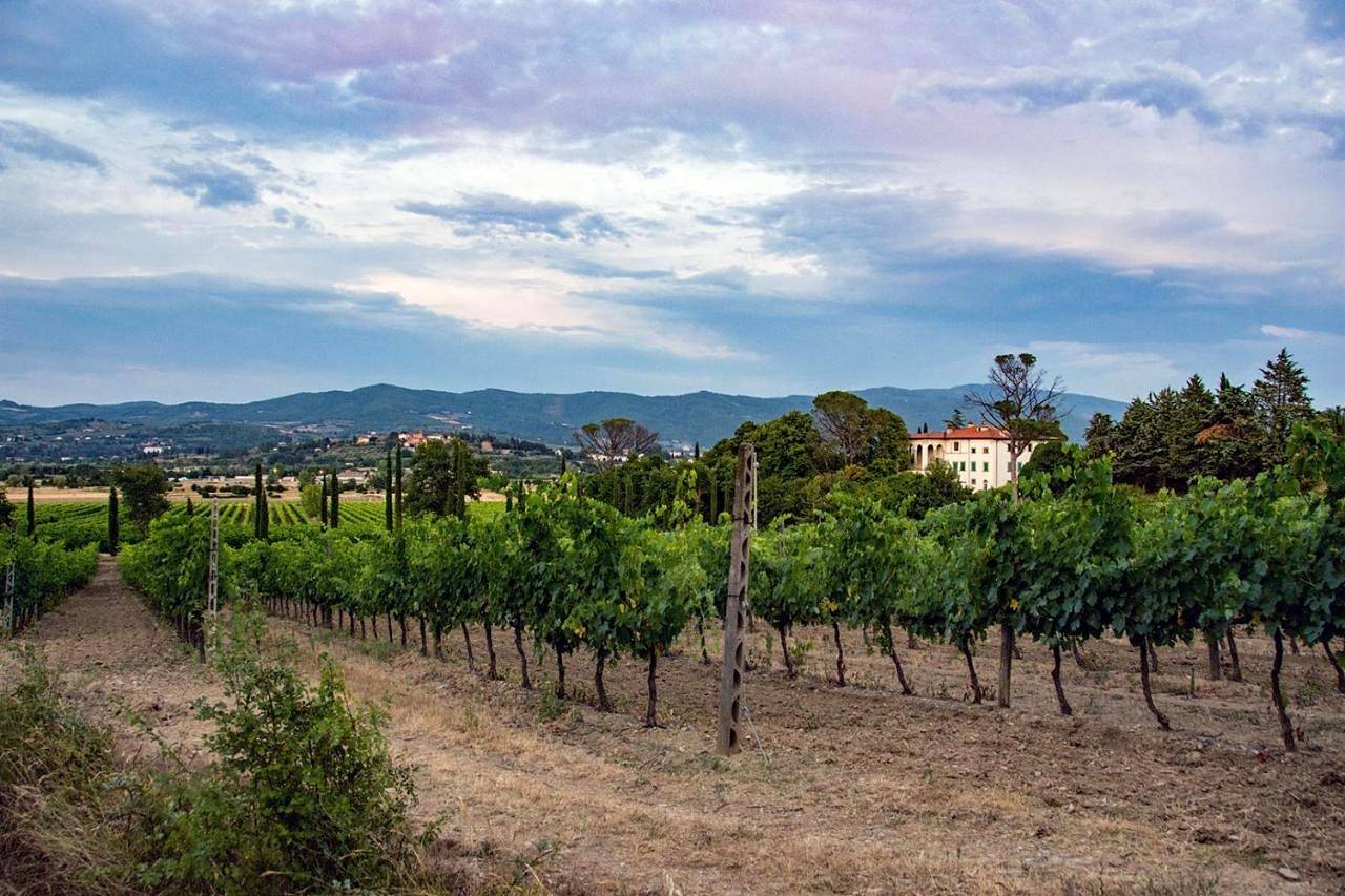 Geheel appartement, Agriturismo Albergotti in Arezzo, Provincie Arezzo