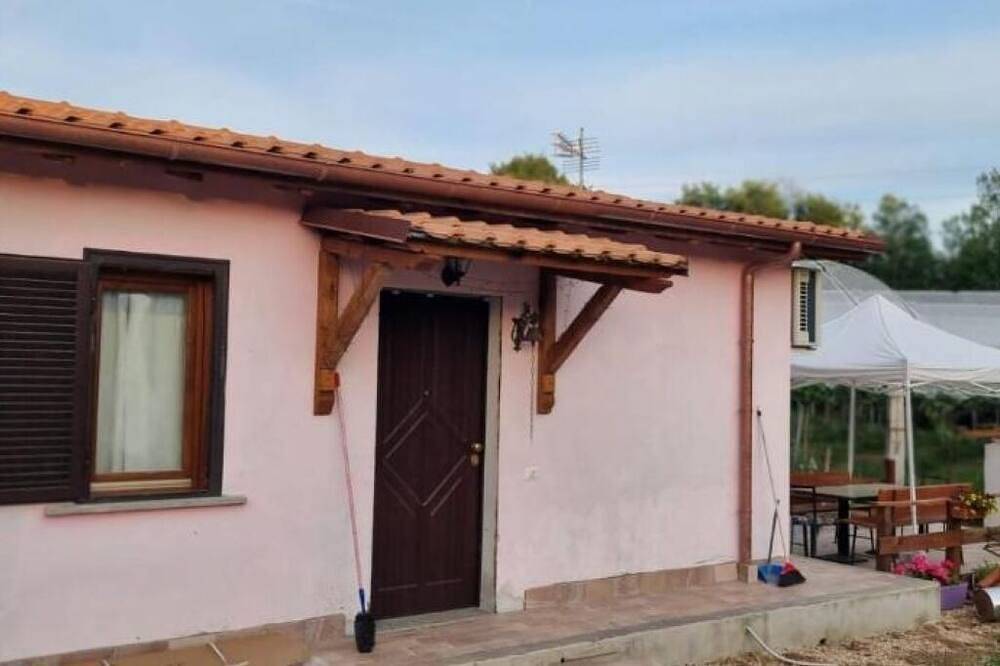 La casa dei kiwi in Lanuvio, Provincia di Roma