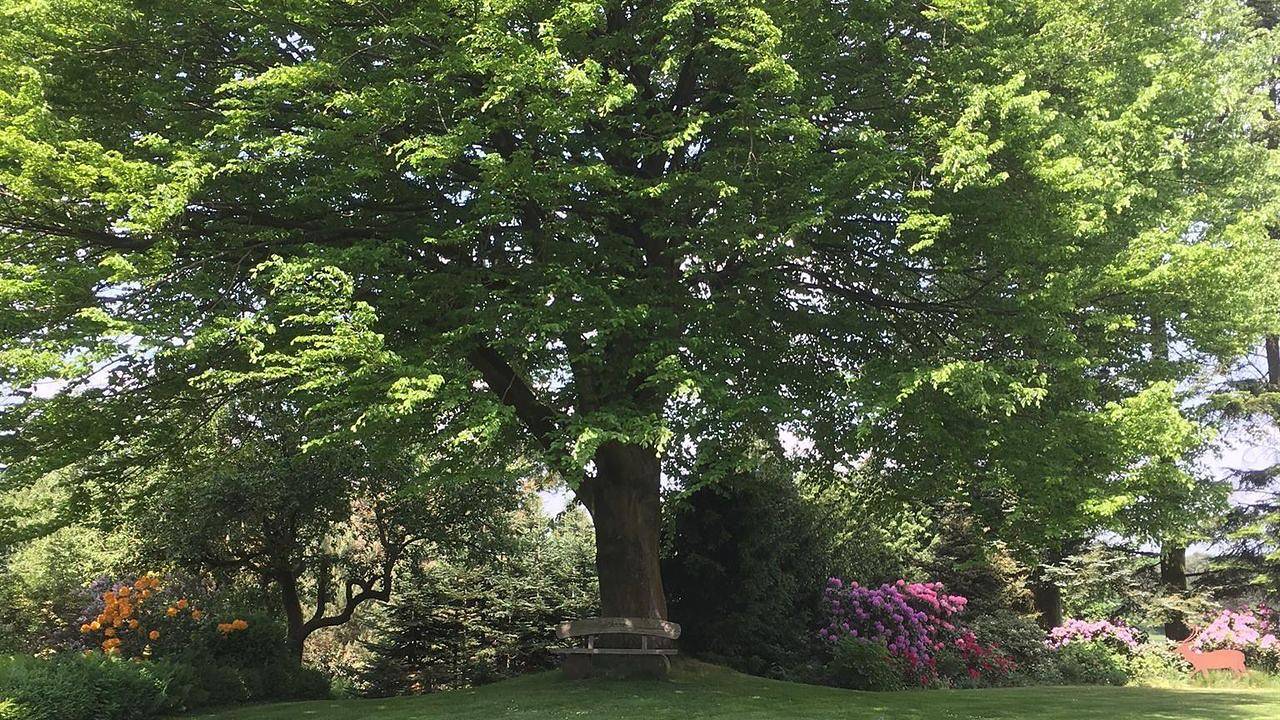 Ferienhaus für 4 Personen (117 m²) in Bispingen in Bispingen, Landkreis Heidekreis