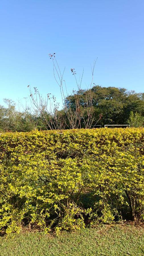 Aluguéis de quarto para 3 pessoas, com piscina e terraço e ainda jardim and vista, com animais de estimação em Boituva