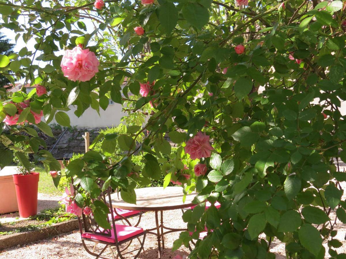 Double Room with Garden View in Laragne-Montéglin, Région de Gap
