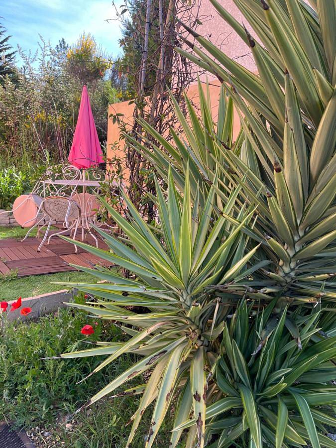 Appartement de vacances pour 4 personnes, avec terrasse et piscine, animaux acceptés