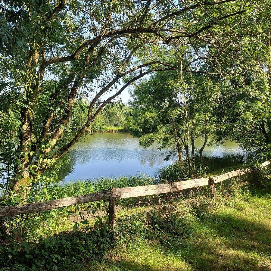 Camping Onlycamp L'Orée Des Boires in Drain, Région de Cholet