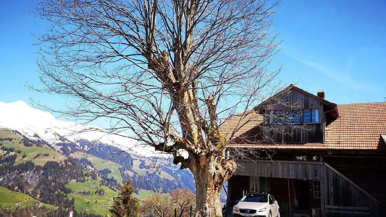 Hütte für 9 Personen (70 m²) in Achseten in Frutigen, Frutigen - Lenk - Adelboden