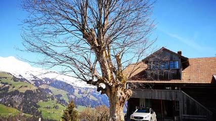 Hütte für 9 Personen in Frutigen, Kanton Bern, Bild 2