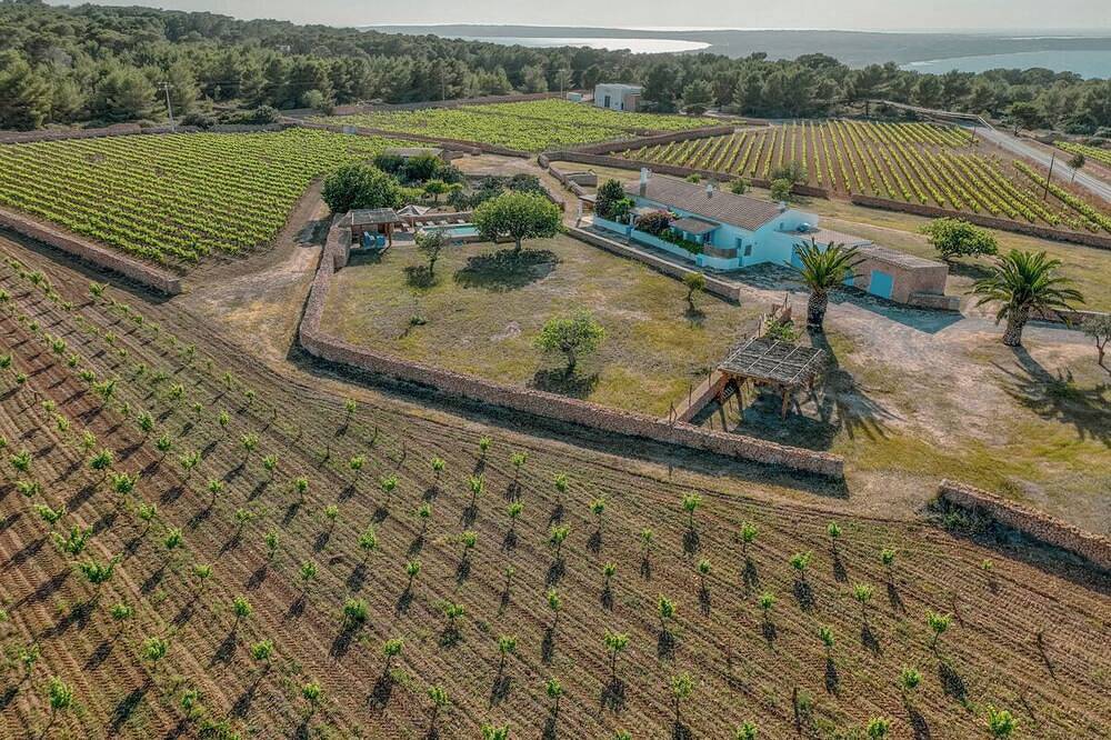 Ferienhaus für 10 Personen in El Pilar de la Mola, Formentera