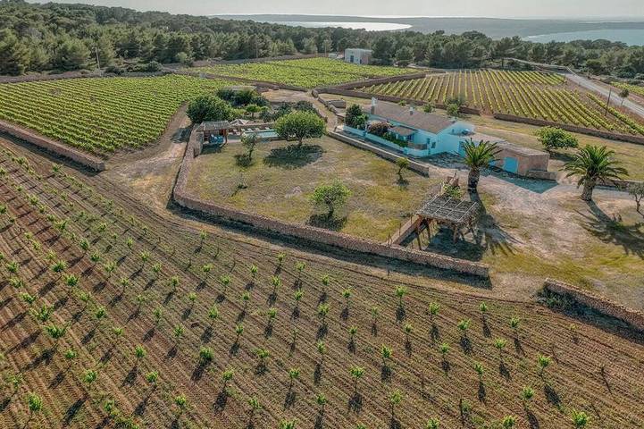 Ferienhaus für 10 Personen, mit Terrasse und Garten, mit Haustier auf Formentera