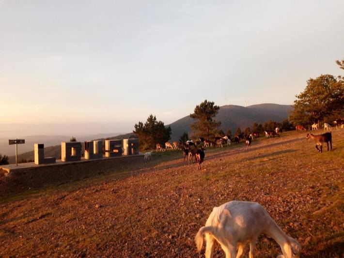 Location de vacances pour 5 personnes, avec vue et jardin à Lousã - 4