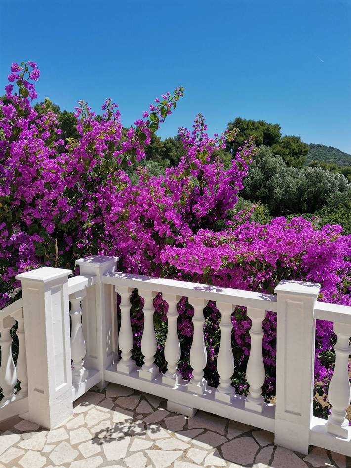 Ganze Wohnung, Apartment Vanja in Mali Lošinj, Cunski