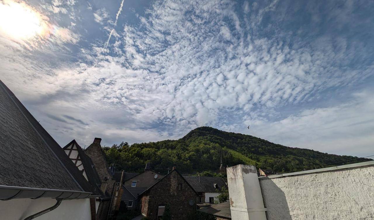 Ganze Wohnung, Villa Moselstrand in Burg Eltz, Moselkern