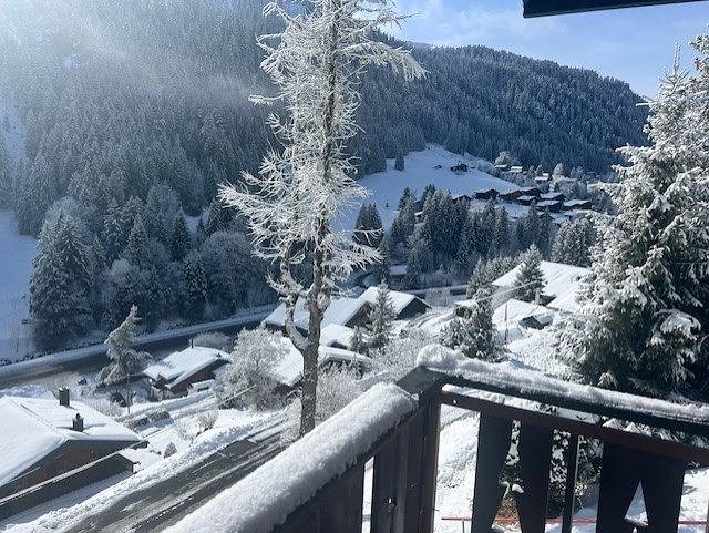 Ganze Ferienwohnung, Chalet Violeta - 3,5-Zimmer-Wohnung in Morgins, Troistorrents