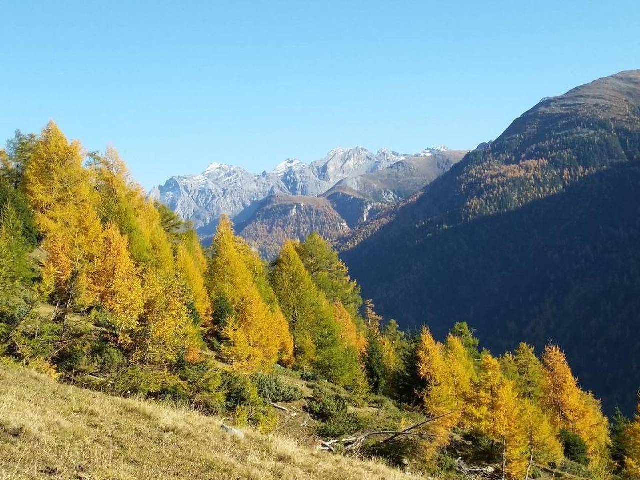 Ganze Wohnung, Wohnung mit atemberaubender Aussicht in Lavin, Unterengadin