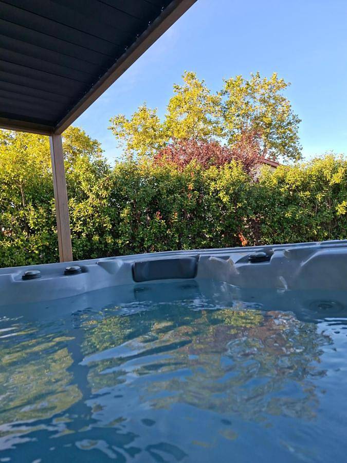Location de vacances pour 8 personnes, avec jacuzzi ainsi que jardin et piscine, animaux acceptés à Saint-Fons - 3