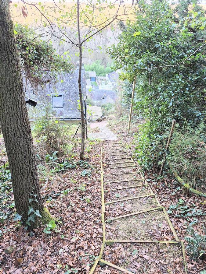 Location de vacances pour 2 personnes, avec vue et terrasse à Saint-Germain-sur-Vienne - 4