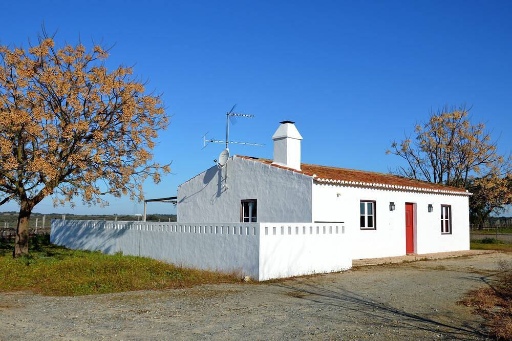 Casa di Gardian circondata da vigneti e querce e ulivi in Alter do Chão, Distretto di Portalegre