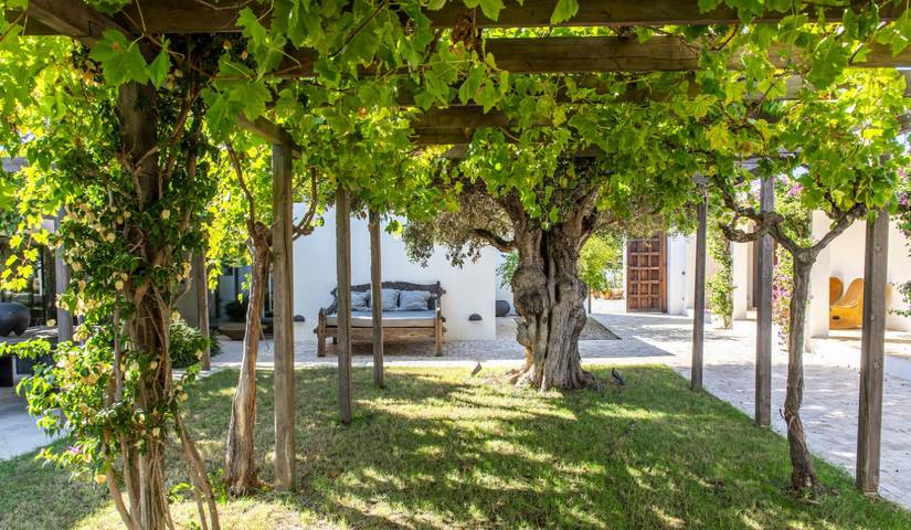 Ferienhaus für 6 Personen, mit Pool und Meerblick sowie Garten in Cala Vedella - 2