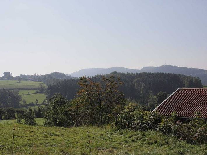 Ferienhaus für 4 Personen, mit Garten, mit Haustier in Drachselsried - 3
