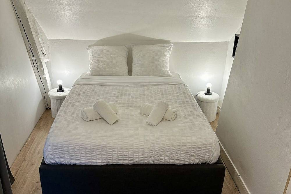 Entire apartment, Le Studio du Square: Châteaux-Beauval – Drive-in N in Romorantin-Lanthenay, Sologne