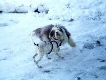 Bauernhof für 2 Personen in Tiefenbach (Oberstdorf), Oberstdorf, Bild 3