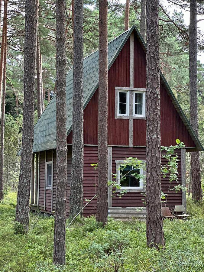 Bungalow für 5 Personen, mit Terrasse und Ausblick in Estland - 2