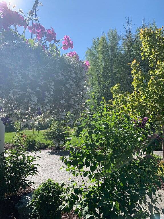 Location de vacances pour 15 personnes, avec jacuzzi et jardin à Anchorage - 3