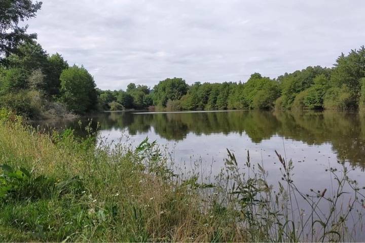 Location de vacances pour 15 personnes, avec piscine ainsi que jardin et terrasse dans Javerdat