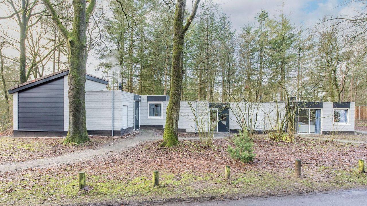 Bungalow für 6 Personen (57 m²) in Kootwijk in Kootwijk, Hoge Veluwe