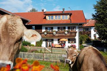 Bauernhof für 4 Personen in Nesselwang, Allgäuer Alpen, Bild 1