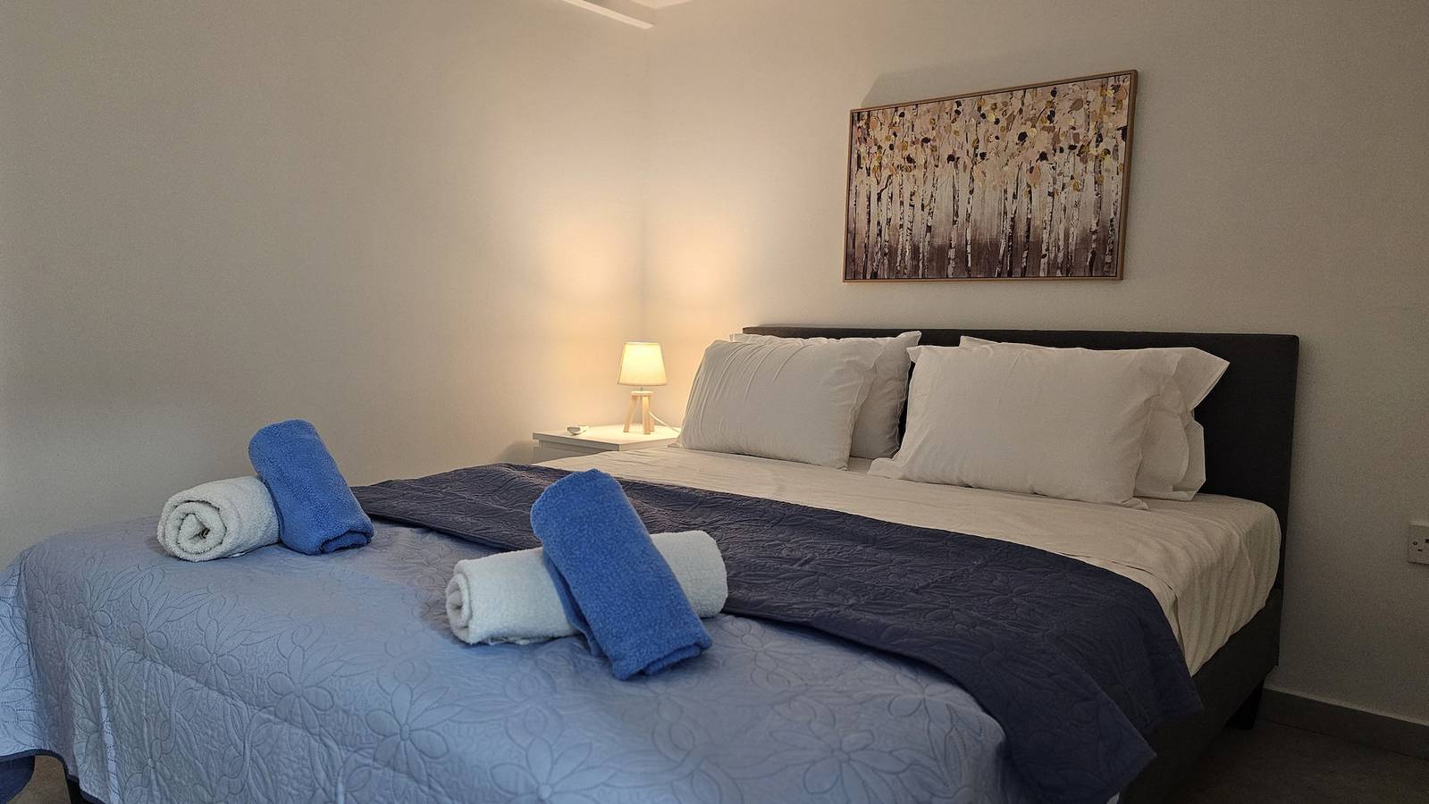 Entire apartment, 00 Ha - Ha.De.Co D in Ayia Napa, South Cyprus