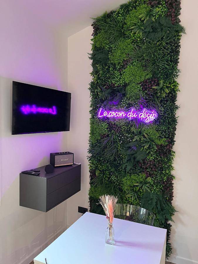 Gîte pour 2 personnes, avec terrasse ainsi que jacuzzi et jardin à Montaigut-sur-Save - 4