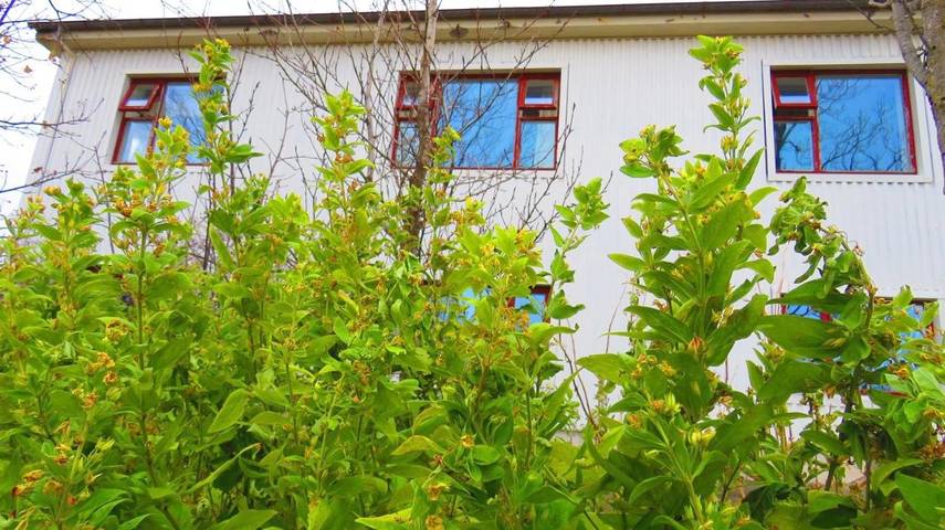 BnB für 2 Personen, mit Ausblick und Garten in Island