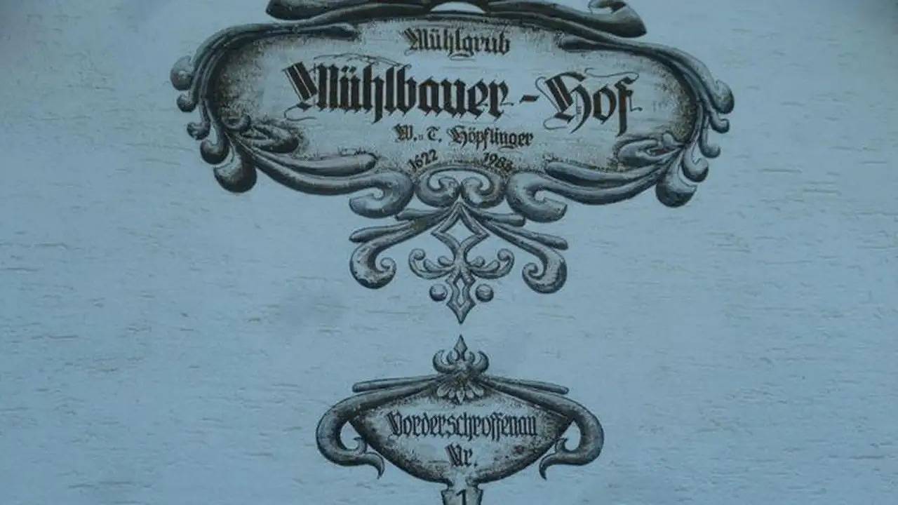 Doppelzimmer für 3 Personen (30 m²) in Ebenau in Massif du Salzkammergut, Ebenau