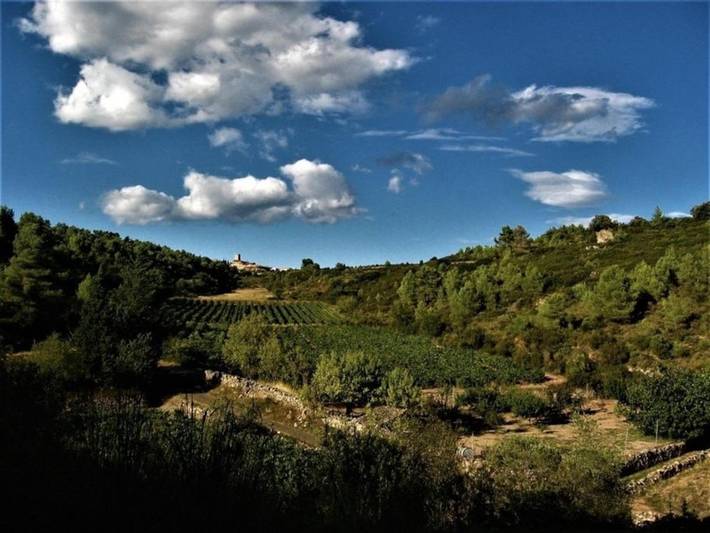 Location de vacances pour 4 personnes, avec Terrasse et Jardin à Villespassans