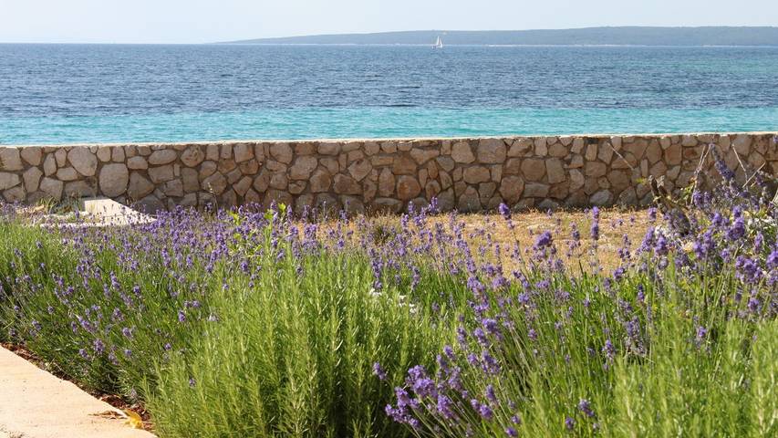 Appartement de vacances pour 4 personnes, avec terrasse - 1
